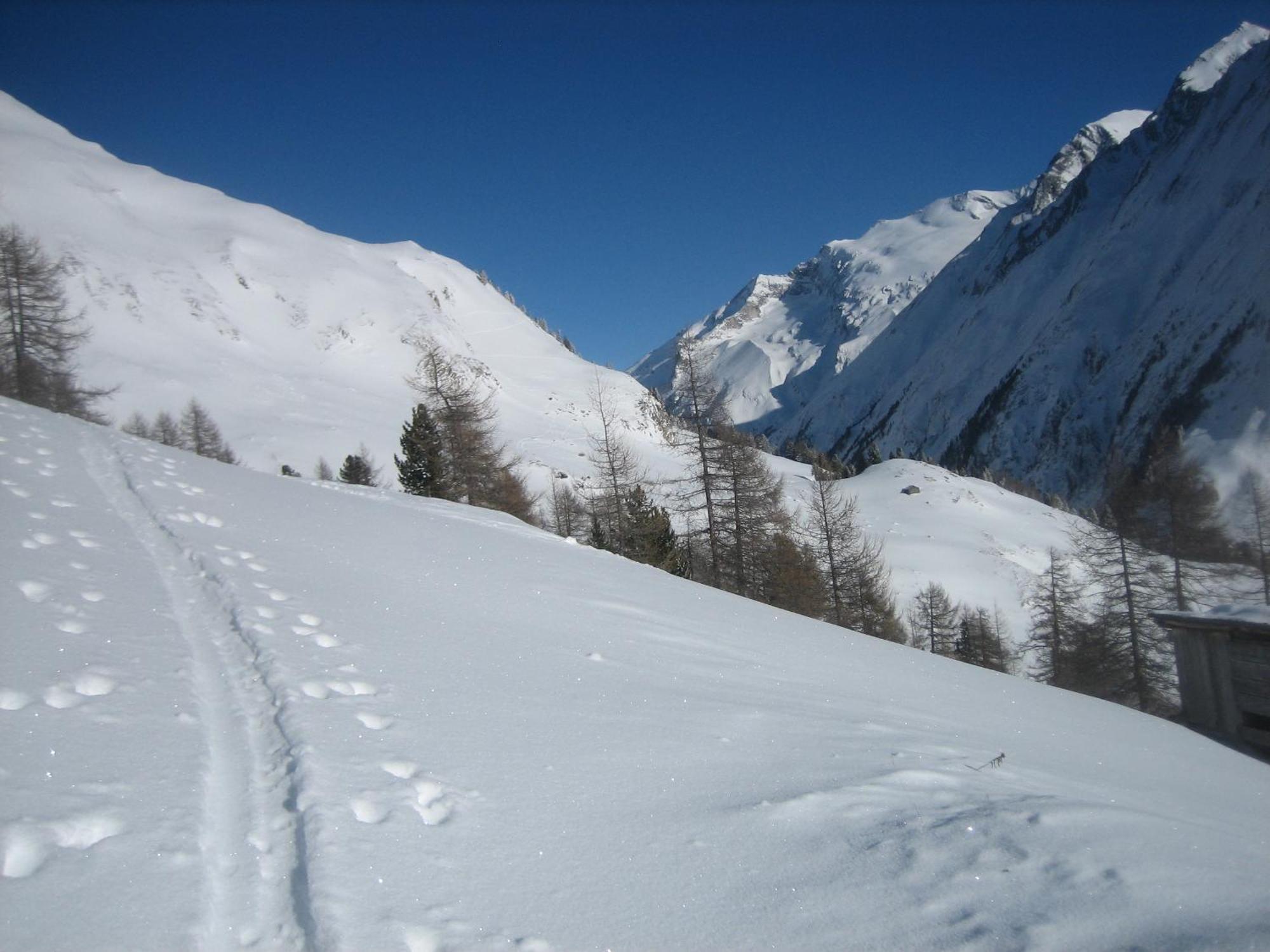 شقة Haus Ursula Kals-am Großglockner المظهر الخارجي الصورة