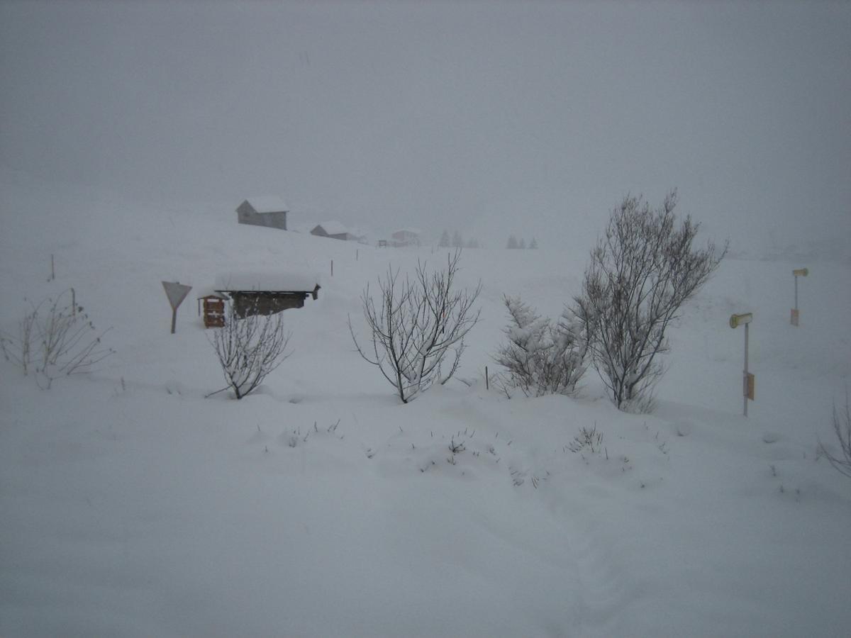 شقة Haus Ursula Kals-am Großglockner المظهر الخارجي الصورة