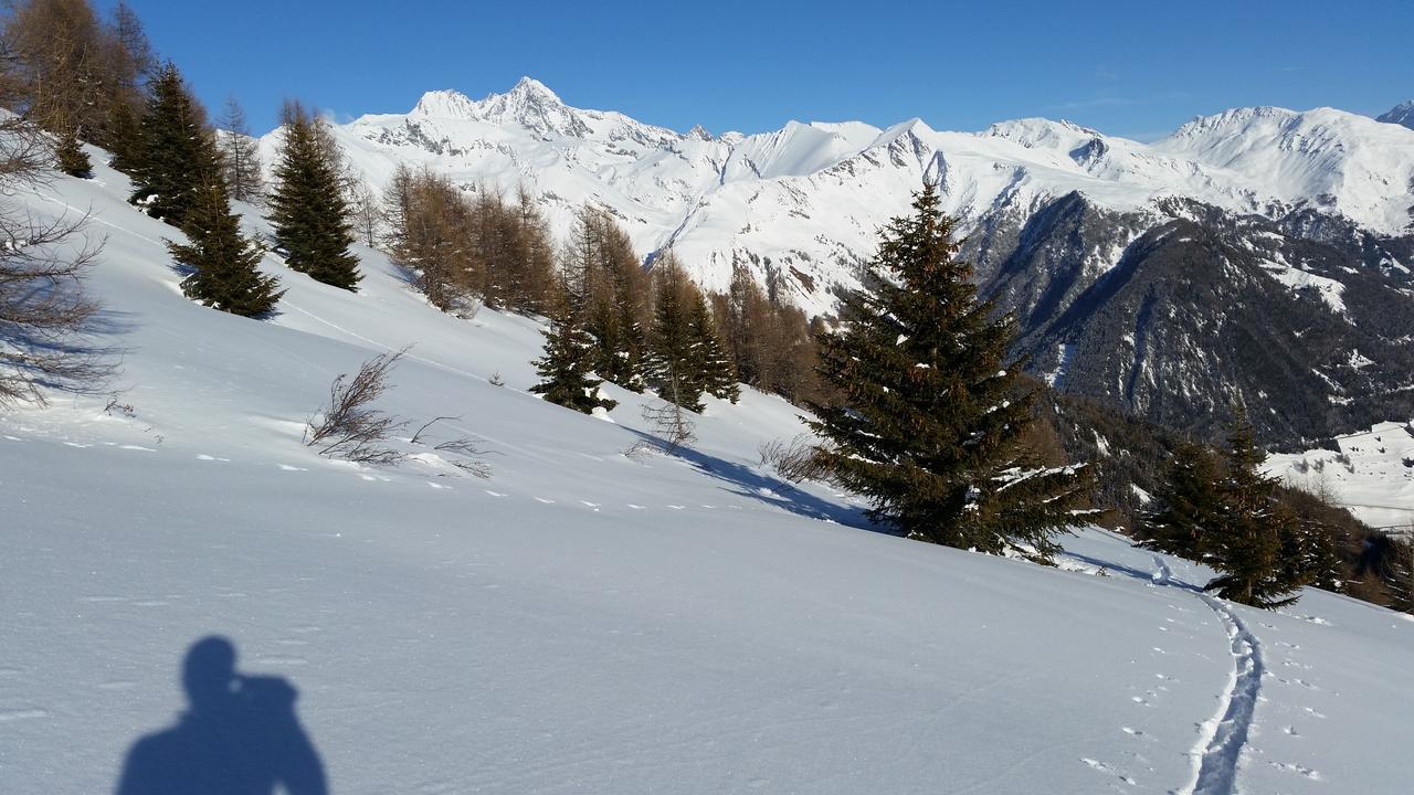 شقة Haus Ursula Kals-am Großglockner المظهر الخارجي الصورة