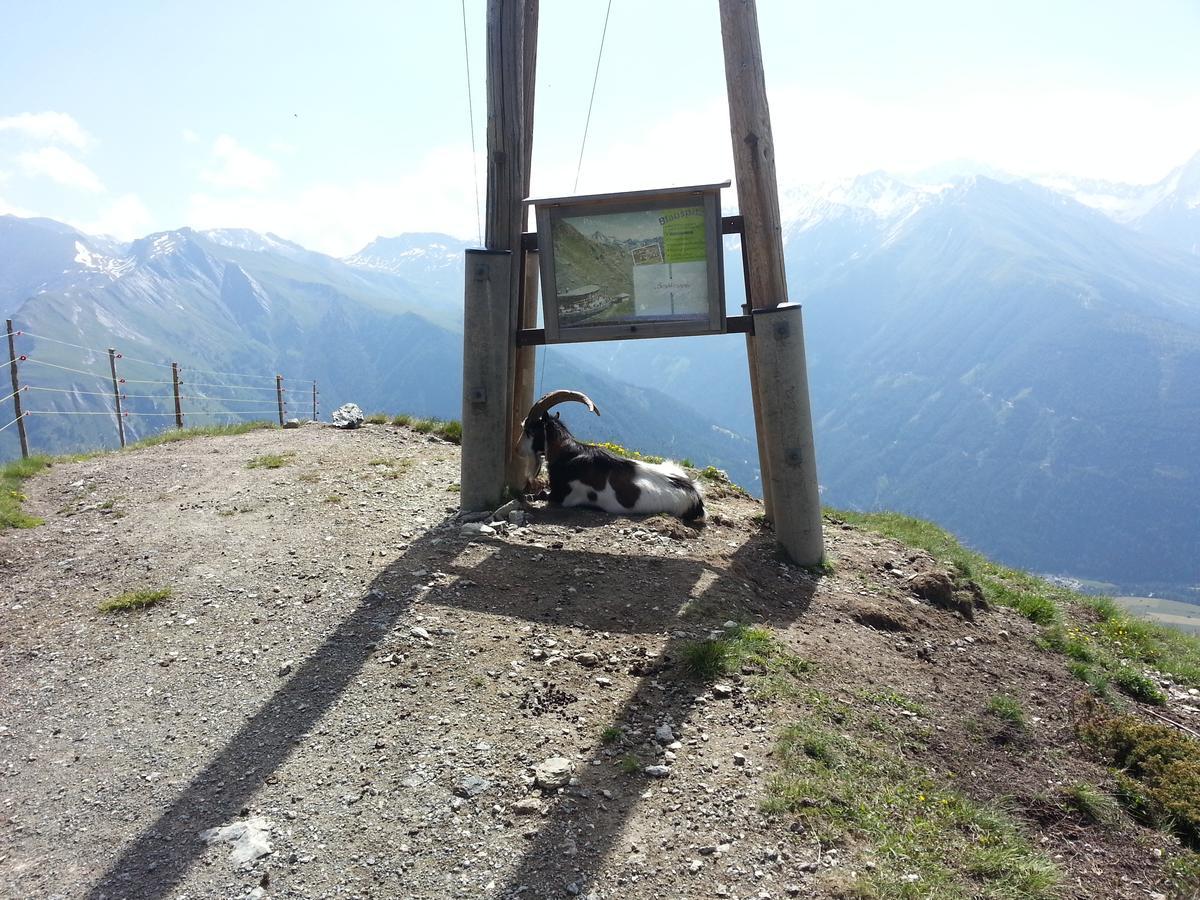 شقة Haus Ursula Kals-am Großglockner المظهر الخارجي الصورة